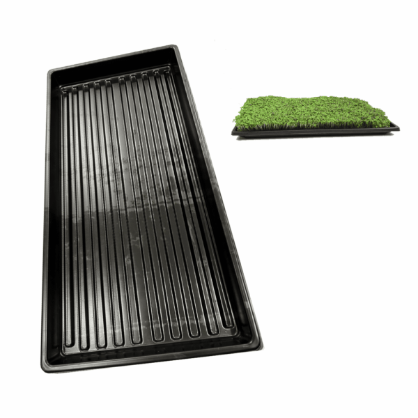 Seeding Tray 500x240x40mm — Sprout Lab
