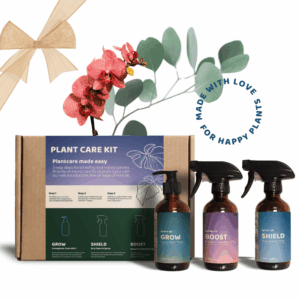 Plant Care Kit - 3 in 1 Gift Set