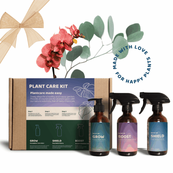 Plant Care Kit - 3 in 1 Gift Set — Sprout Lab