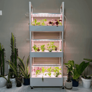 Hydroponic Tower System Set