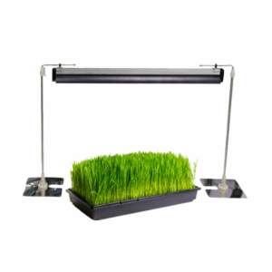 Grow Light Stand