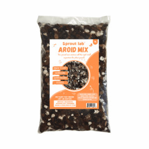 Aroid Mix