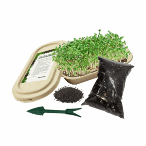 Microgreen Grow Kit