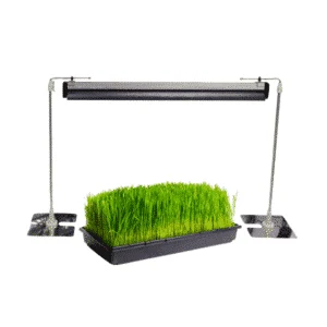Grow Lights — Sprout Lab