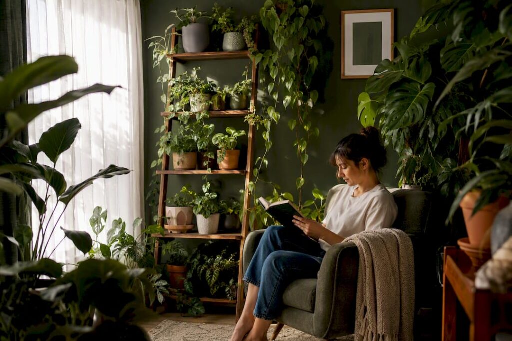 Leafy indoor plants creating calm atmosphere
