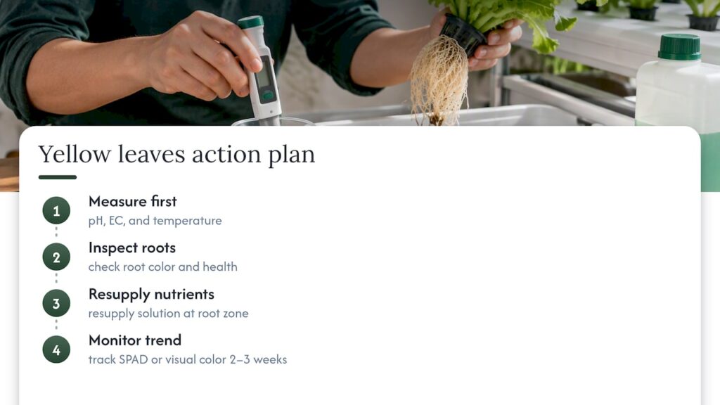 A grower's quick plan for yellow leaves — overview diagram