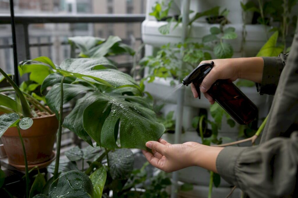 Indoor Gardeners: Low Odor Neem Oil Alternatives and a Two Week Control Plan