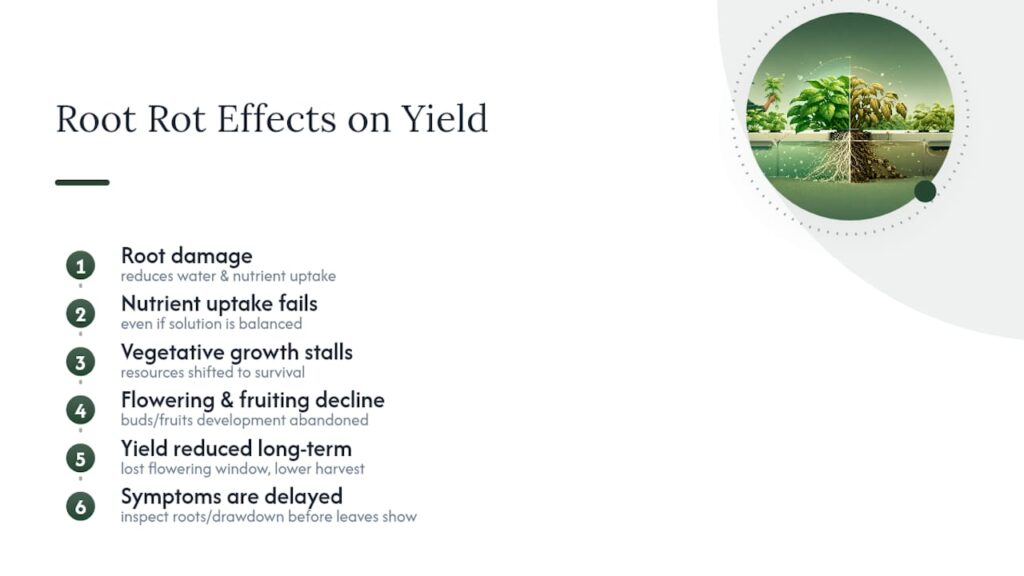 How Does Root Rot Affect Overall Plant Health and Yield? — overview diagram