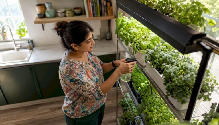 Why Compact Gardens Suit Professionals: Low-Effort Urban Growing