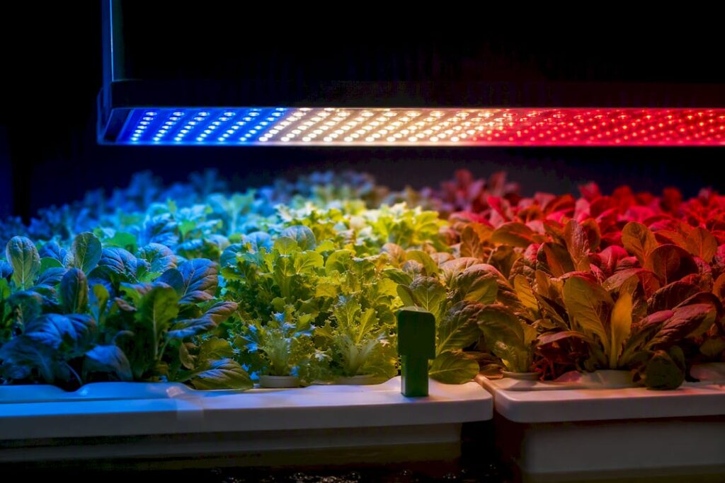 660 nm Red Boost: Grow Light Spectrum Recipes for Indoor Hydroponics