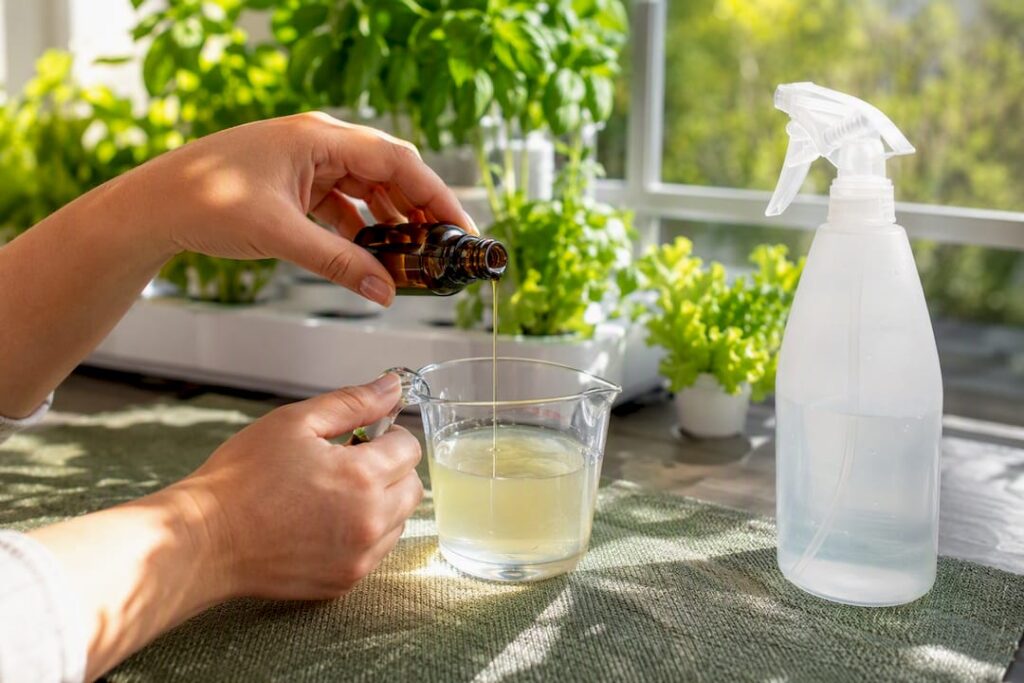 Neem Oil for Plants: The Right Way to Mix and Use It