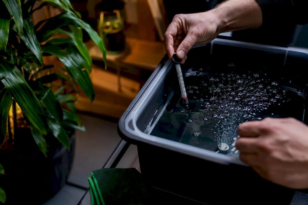 Root rot hydroponics: stop Hydroponic Root Rot at Home: Temp, DO, Drawdown Checks