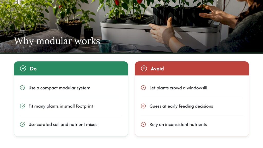 Why a modular setup like Sprout Lab's makes indoor pepper growing easier — overview diagram