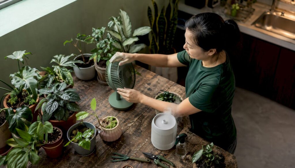 How to Optimise Airflow for Indoor Plants in Singapore