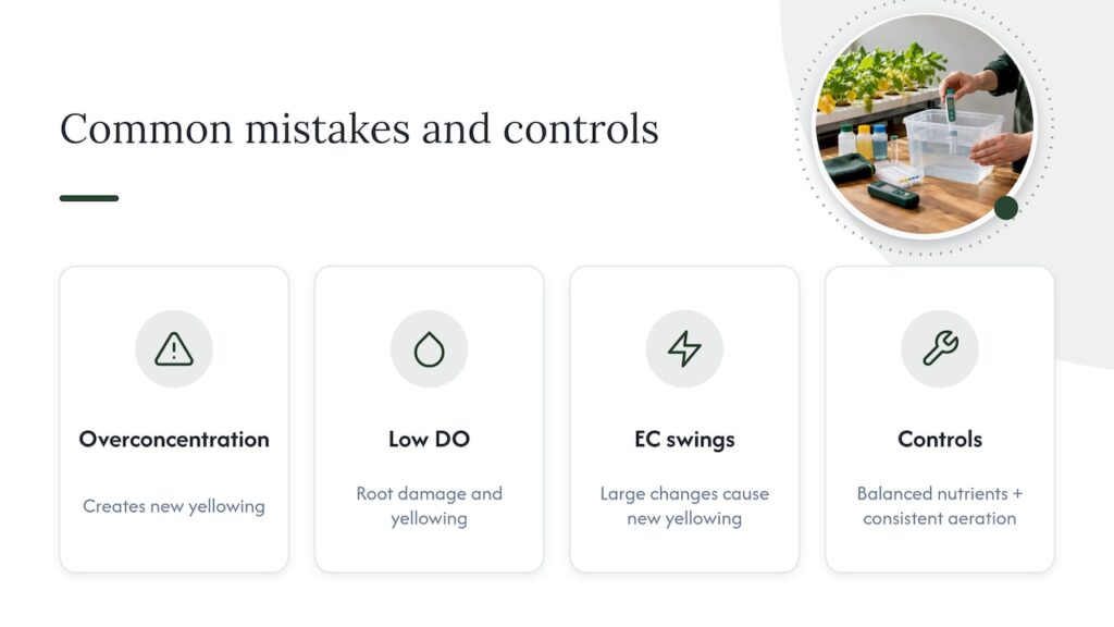 Three hydroponic mistakes and gradual corrections