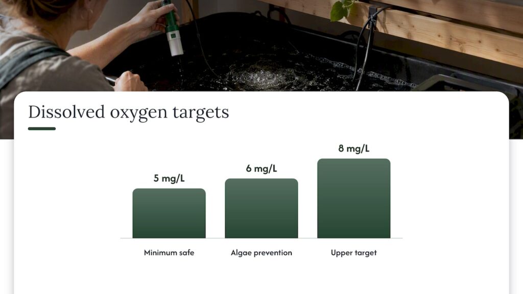 Why dissolved oxygen and circulation come before anything else — overview diagram