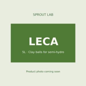 LECA by Sprout Lab Singapore