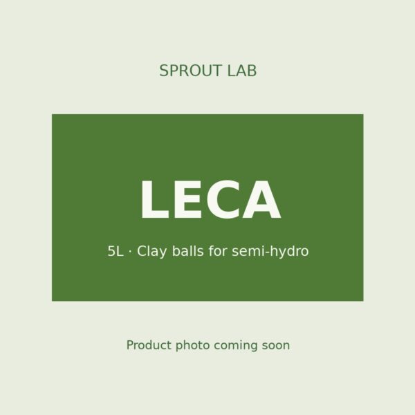 LECA by Sprout Lab Singapore