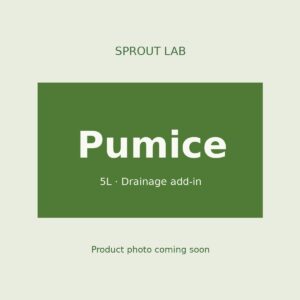 Pumice by Sprout Lab Singapore
