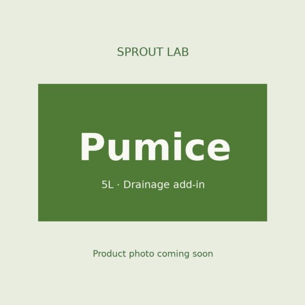 Pumice by Sprout Lab Singapore