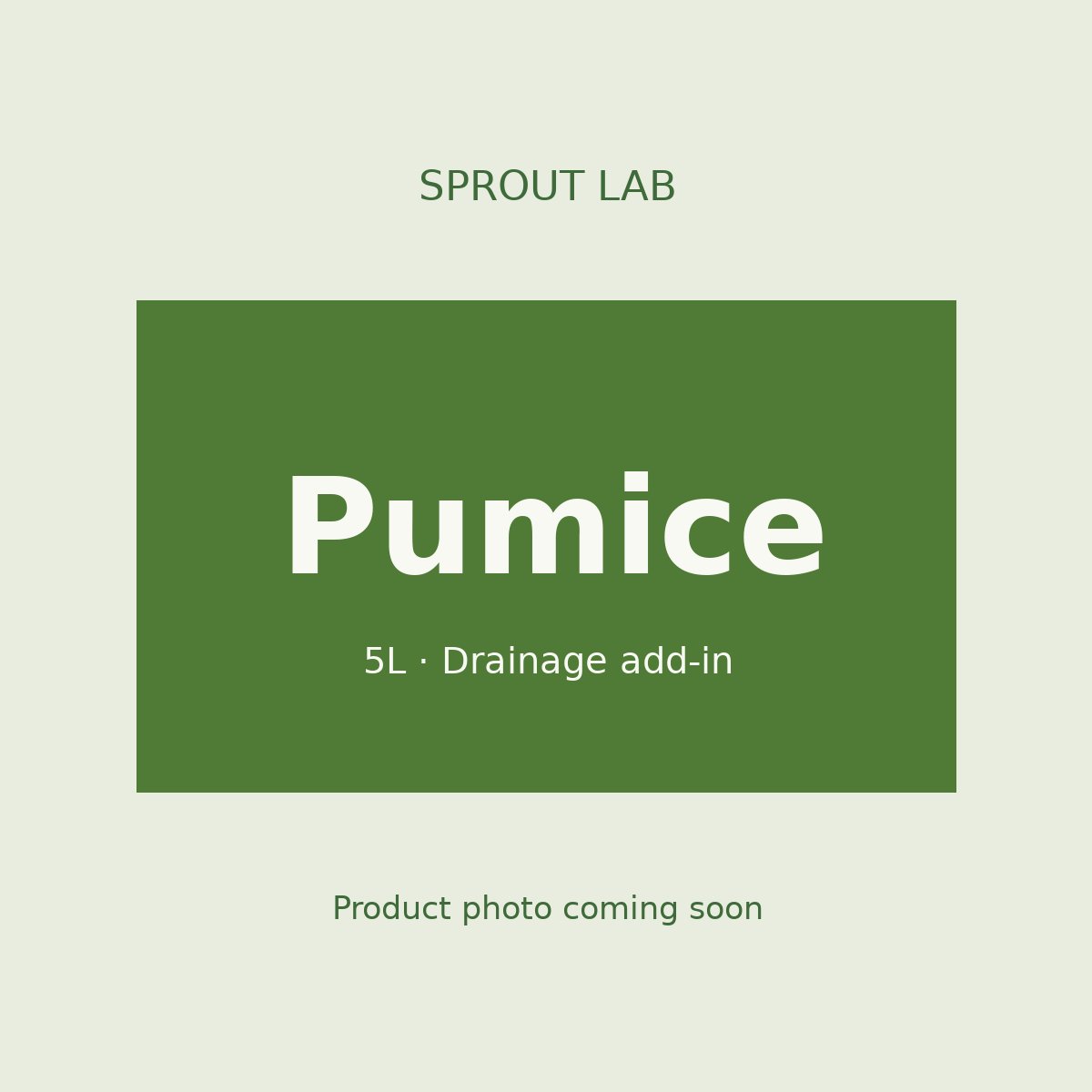 Pumice by Sprout Lab Singapore